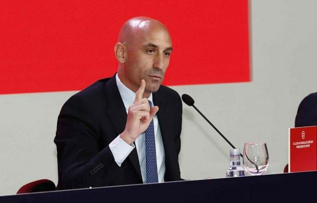 导演钟鼎、总制片人黄龙、编剧康夫及金风配音演员李昕，与观众近距离交流，分享影片背后的文化深意与创作灵感。