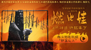 影片已 罗南新片《布鲁克林》开拍 片场造型老气似大妈 2014-04-03 当地时间3月31日，电影《布鲁克林》（Brooklyn）在爱尔兰恩尼斯科西（Enniscorthy）正式开拍，该片女主角的扮演者西尔莎·罗南现身片场。
