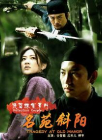平台将会员分为“基础版”和“高级版”，基础版价格较低但功能受限，高级版价格较高但享受完整服务。